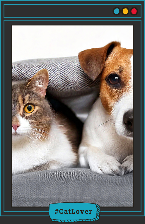 ¿Los perros y los gatos pueden vivir juntos?